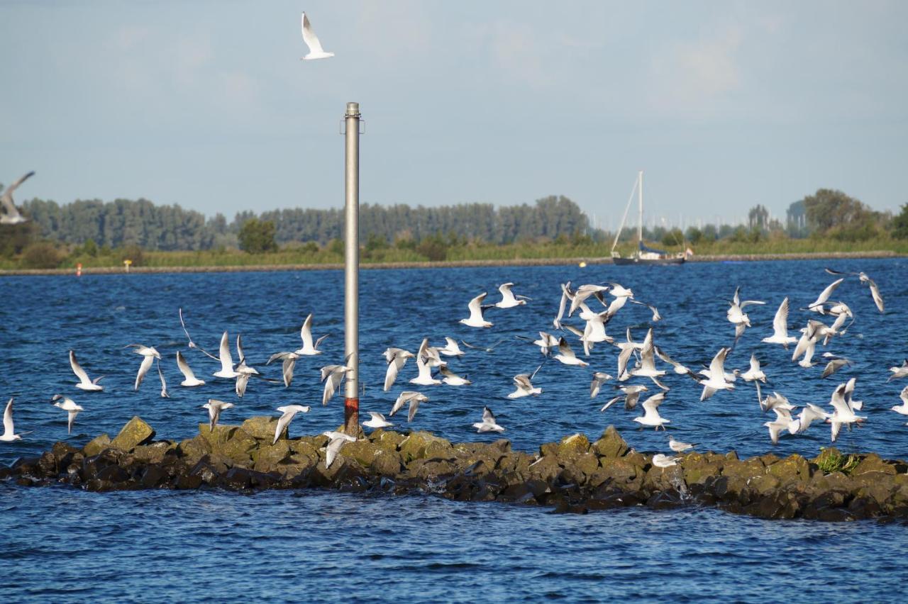 B&B Logeren Bij De Burgemeester Stad aan 't Haringvliet Esterno foto