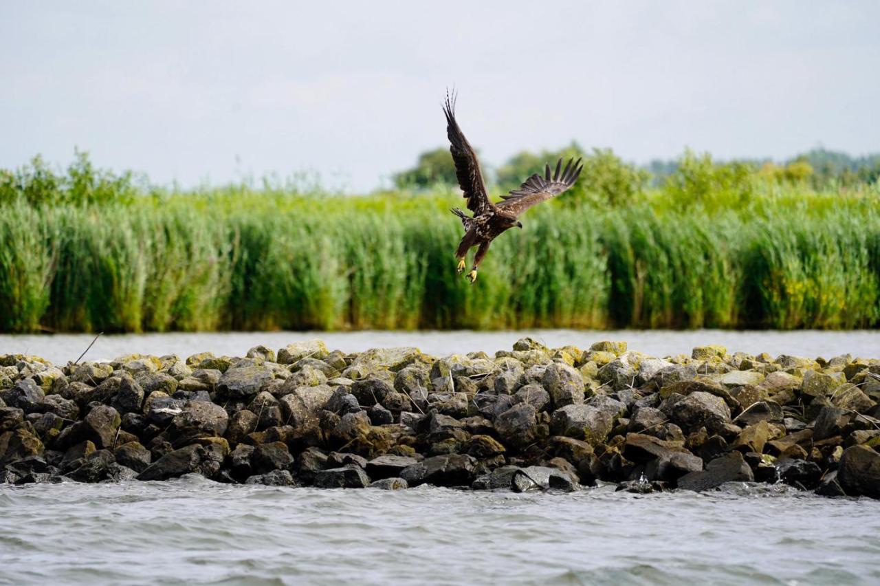 B&B Logeren Bij De Burgemeester Stad aan 't Haringvliet Esterno foto